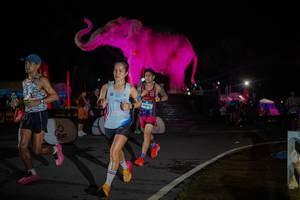 BIB: 
                            <button type="button" onclick="openModal(26551846)" class="btn btn-primary btn-sm float-right btn-popup" data-toggle="modal" data-target=".modal-high-quality">
                        <i class="fas fa-shopping-cart"></i> Add to Cart
                    </button>
                                            <button type="button" onclick="isThisMe(26551846, true)" class="btn btn-success btn-sm float-right btn-popup btn-isme hidden" data-toggle="tooltip" data-placement="bottom" title="นี่คือรูปของคุณใช่ไหม คลิกที่นี่เพื่อเอาเข้าอัลบั้ม">
                        <i class="fas fa-plus"></i> Add to album
                    </button>
                    <button type="button" onclick="isThisMe(26551846, false)" class="btn btn-warning btn-sm float-right btn-popup btn-isnotme hidden">
                        <i class="fas fa-ban"></i> Remove from album
                    </button>